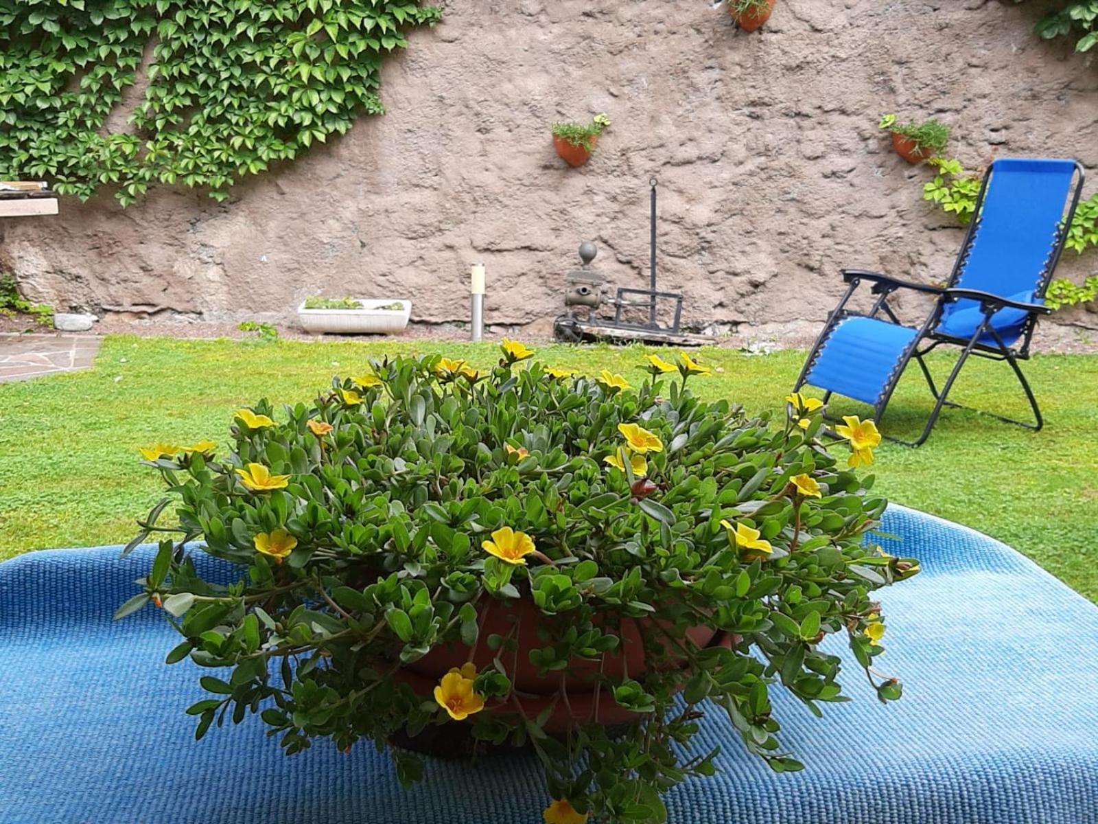 Casa Fornace Apartment Ala Bagian luar foto